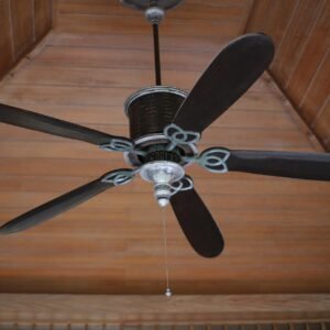Fan Service